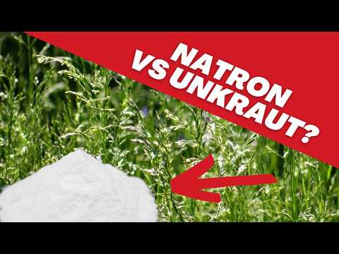 Natron gegen Unkraut und Gräser in Fugen? Ein Test!