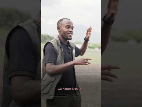 Kwita Izina: Rwanda’s baby gorilla naming ceremony | AJ #shorts