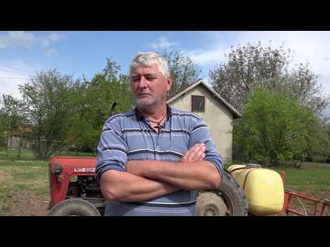 Đurđevdanske kiše vrede zlata - Koleginica  Sonja Cvetković iz Kraljeva