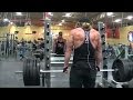 Shoulders Traps & Upper Back Workout