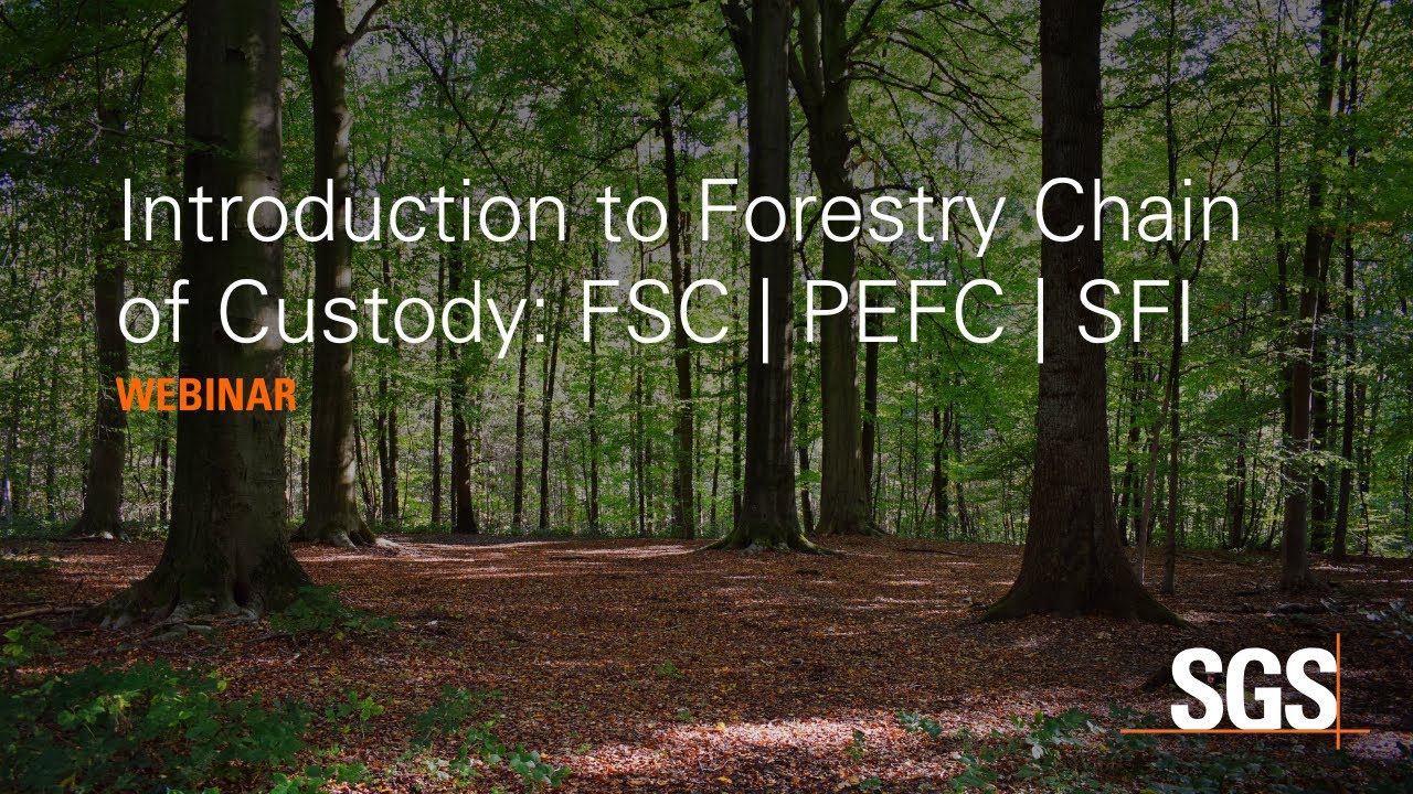 Introduction to Forestry Chain of Custody: FSC | PEFC | SFI