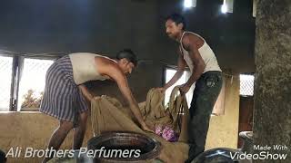 preview picture of video 'Attar and Essential oil distillation process at Ali Brothers Perfumers Kannauj,India.'