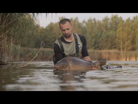 Monster Goliath Groupers with NFL Linebacker Sam Barrington