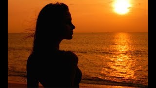 MBB - Fresh - No Copyright Music