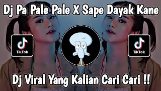 Download lagu DJ PA PALE PALE || SAPE DAYAK KANE VIRAL TIKTOK (ANAK BORNEO) TERBARU 2023 mp3