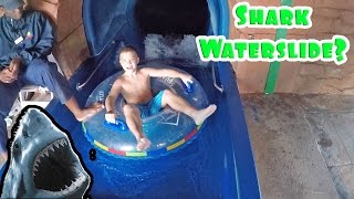 SHARK INSIDE A WATERSLIDE?