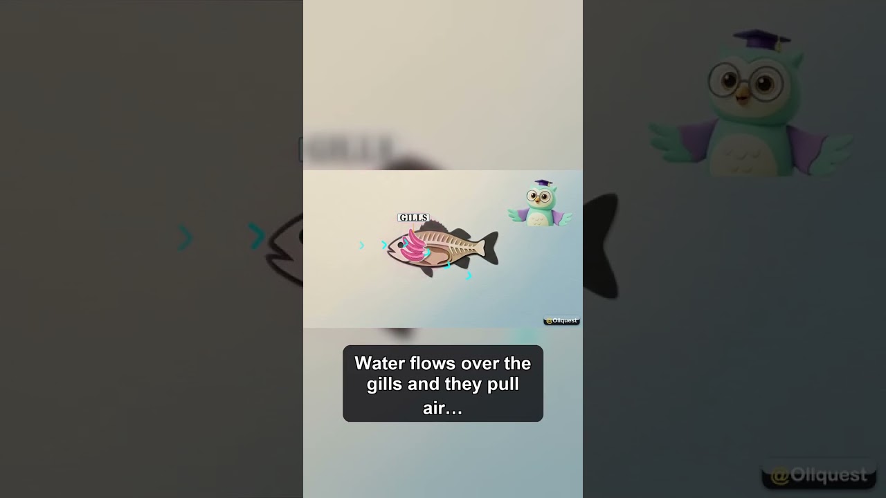 🌊 Amazing Ocean Animals 🚀 #Shorts