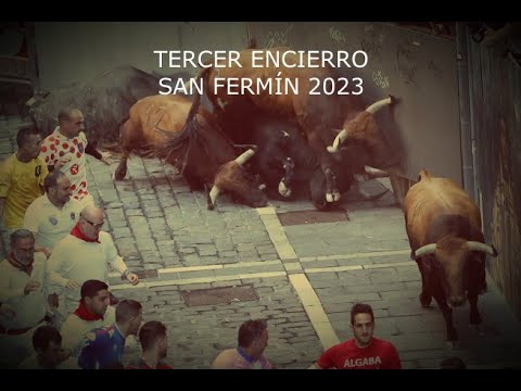 Tercer Encierro San Fermín 2023/ Cebada Gago