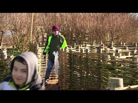 Ontdek het groene Provinciedomein Halve Maan Diest