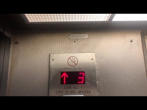 Westinghouse (mod. Unknown 2x) Traction Elevator at Macy's - Flushing, NY (2nd RT)
