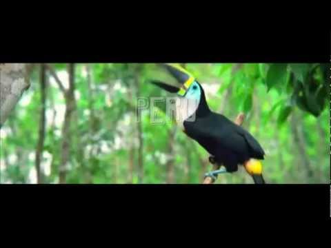 El sonido de la Resistencia (Artymaña) - Bagua no se Olvida - Maanitut Uwaechau