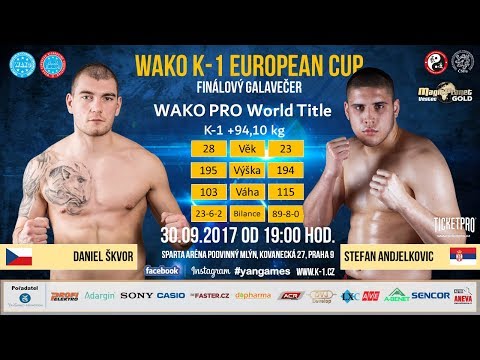 DANIEL ŠKVOR vs. STEFAN ANDJELKOVIC - WAKO-PRO K-1 world title
