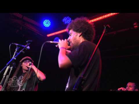 True Vibenation - No More (Live in Sydney) | Moshcam