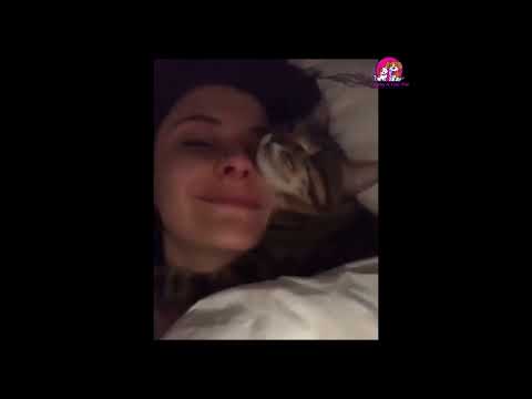 Funny Cat Scares Of Ordinary Things - Cute And Funny Cats Reactions cat reaction cat reaction