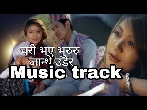चरि भए भुरुरु जान्थे उडेर( माथी माथि हिमाली भेगमा ) Music Track karaoke