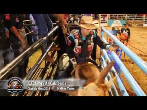 Rodeio de Cândido Mota 2015 - MELHOR TOURO