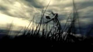 Flower of Flesh and Blood - &quot;Goodbye Whoreses&quot;