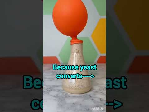 #science #10cbse #biology #fermentation #yeast #alcohol #youtubeshorts #viralvideos #shortvideo