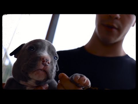 PGJ - SOLEDAD (VIDEOCLIP OFICIAL)