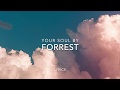 Forrest - Your Soul (lyrics)