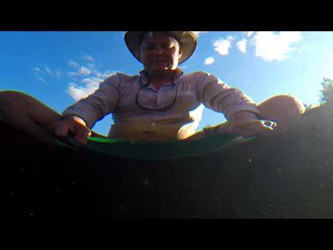 Kullanhuuhdonta Suomessa