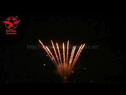 2 rows 1.2 inch 10 shots fan, 1st gold comet, 2nd blue mine