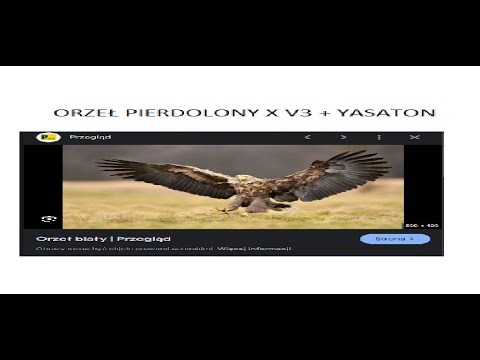 ORZELX/YASATON YASUO MONTAGE BEST CLIPS - NOSTALGIA MONTAGE BY TEXTCIK