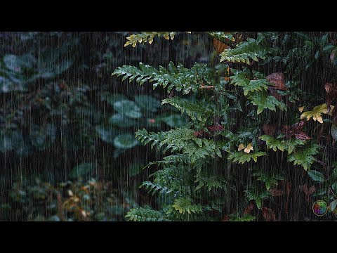 雨大