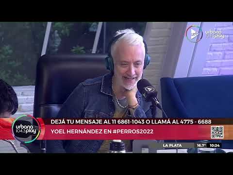 Yoel Hernández (@yoelmaiten) dejó todo para venir a Bs. As. y cumplió sus sueños | #Perros2022