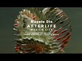 AfterLife México 2023 ANYMA