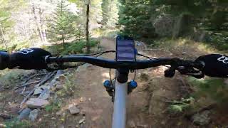 Schoolbus - West Magnolia - Nederland - Colorado