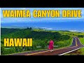 ADVENTUROUS DRIVE TO THE WAIMEA CANYON LOOKOUT, HAWAII-NARROW SERPENTINE ROAD, S-TURNS, SWITCHBACKS,