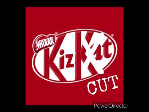 DC305 - MIESER SCHEISS(kiezcut diss)