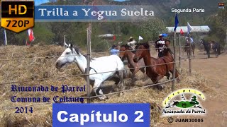 preview picture of video 'Trilla a yegua suelta en Rinconada de Parral comuna de Coltauco Parte2'