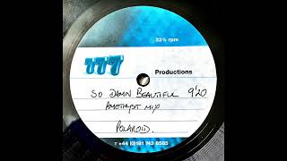 Polaroid – So Damn Beautiful (Amethyst Mix)