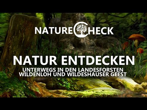 Natur entdecken - Tiere und Pflanzen unserer Wälder