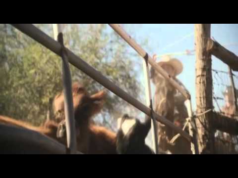 Gareth Emery Ft  Bo Bruce -  U (Club Mix) V Remix By Dj Wolfy