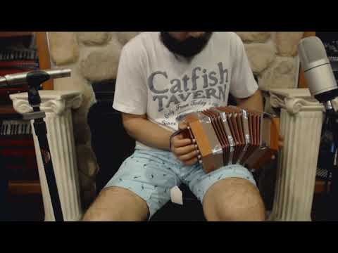 NEW Brown Hohner D40 Anglo Concertina CG 20 image 2