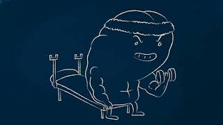 The Meditating Brain