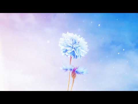 CloudNone & Direct - back from dust [bayb33 EP]