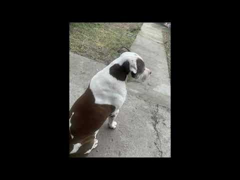 Garjoka - BLIZNAKA / Близнака prod. by Denis Merg