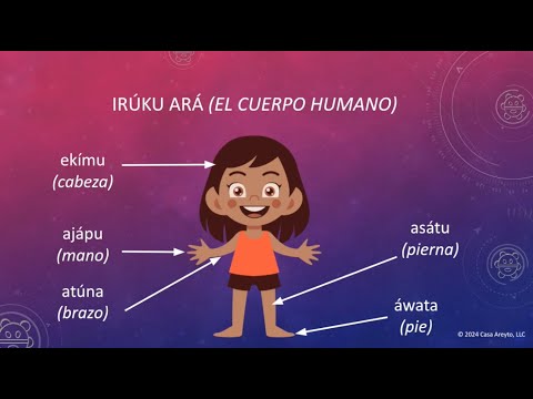 Let's Talk Taíno en español 95 - El cuerpo humano (Parte 1)