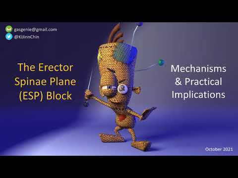 The ESP Block - Anatomy, Mechanisms and Implications for Practice