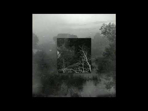 Zheka Propazha   На Дне  (2025) #music #shortvideo #rap