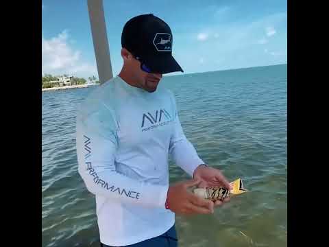 Epic Islamorada Fishing Frenzy!   Lobster, Mahi Tuna, Grouper Catch and Clean Cook | #shorts