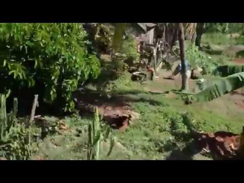 Tourist Steam Train in Cuba