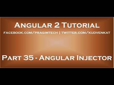 Angular Injector