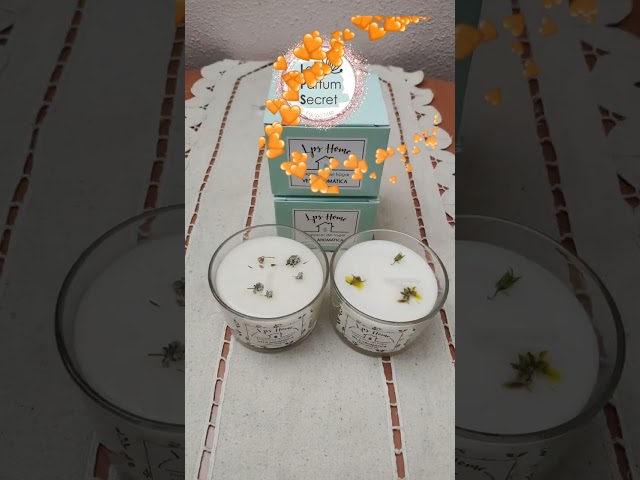 Vídeo relacionado con Lumar Aromatic Velas de té aromáticas (Frutos Rojos Pack 100 Velas)