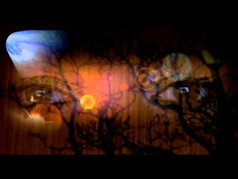 Man On The Moon Gar Francis featuring Art by Cornelis le Mair