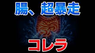 ゆっくり毒物vol.141　コレラ【ゆっくり解説】